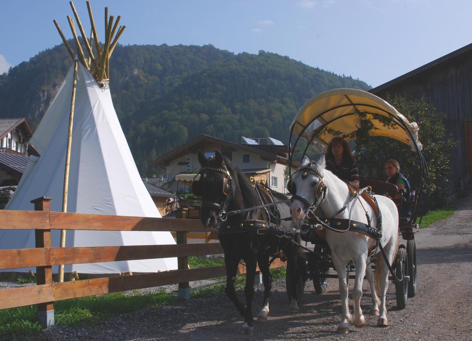 Ferienwohnung Reitanlage Dagnhof Walchsee Exterior foto