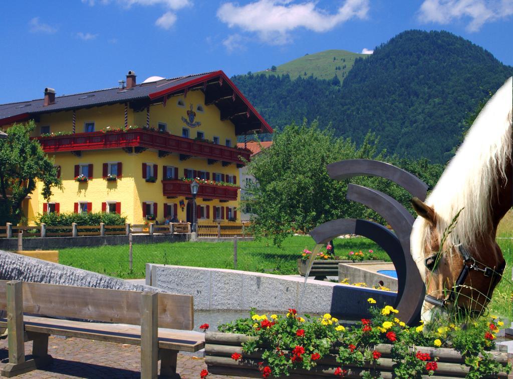 Ferienwohnung Reitanlage Dagnhof Walchsee Exterior foto